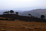 Toscane, Itali; Tuscany, Italy