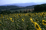 Landschap in de Casentino (Toscane, Italië); Landscape in the Casentino (Tuscany, Italy)