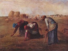 Millet
